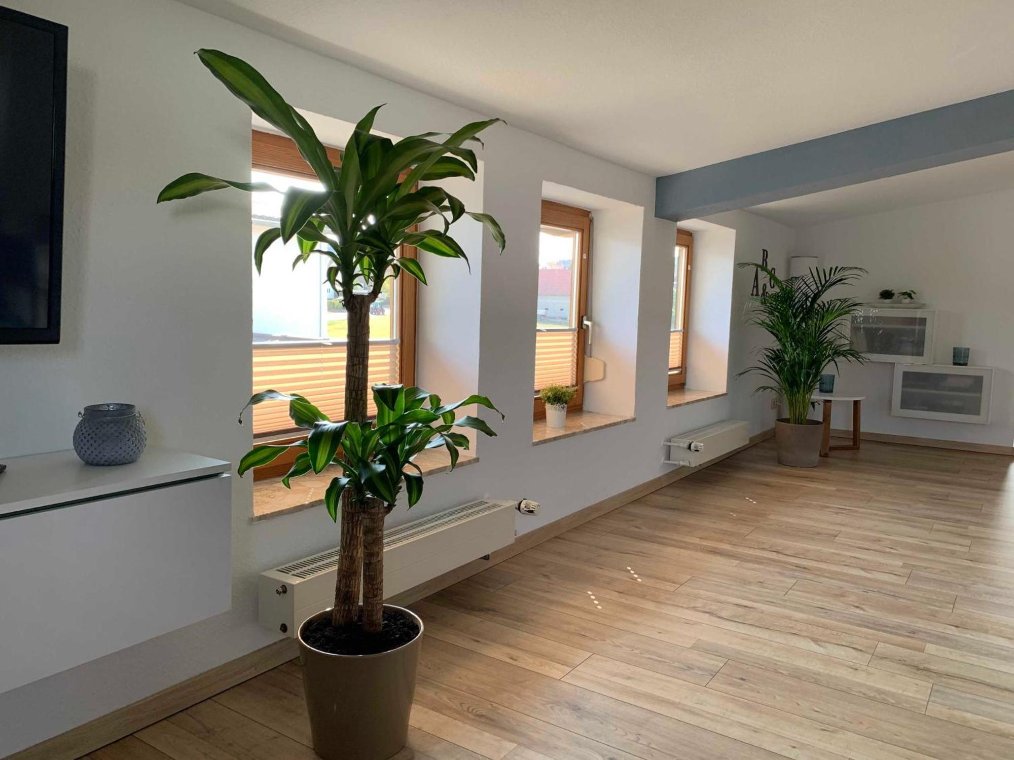 Ferienwohnung In Den Wiesen Albertshausen Екстер'єр фото